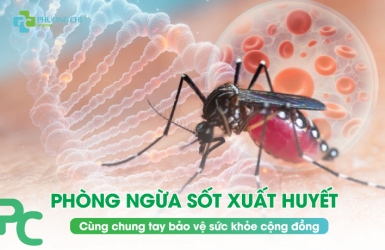 Phòng ngừa Sốt Xuất Huyết – Cùng chung tay bảo vệ sức khỏe cộng đồng